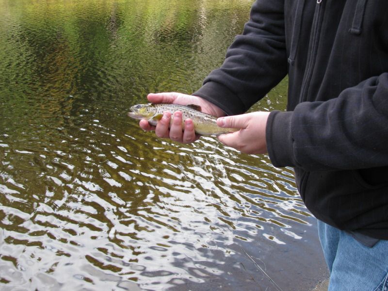 Adirondacks Fishing Fishing Forum Niagara Fishing Forum
