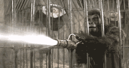 planet of the ape photo: Ape spray planet-of-the-apes.gif