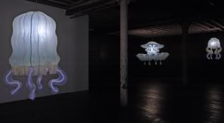 Timothy Horn - Villa Medusa installation