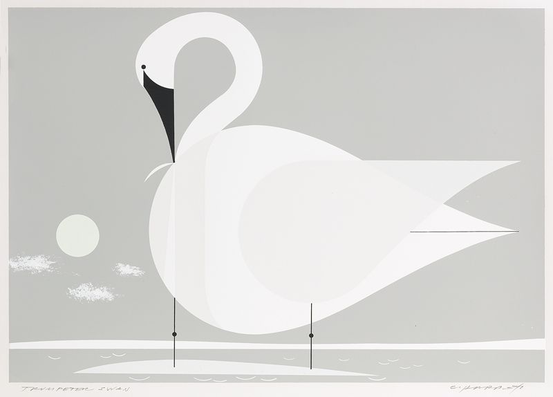 swan - Charley Harper