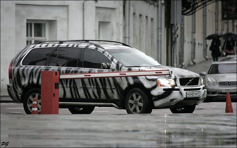 HS2M3211.jpg