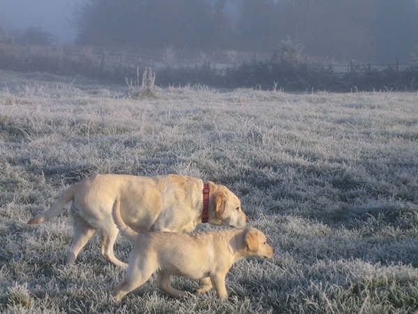 IMG_1083.jpg