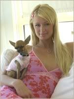 paris hilton and puppy