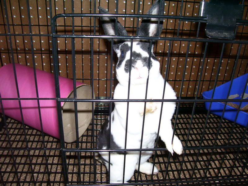  photo Mylee009.jpg