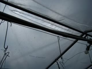 PVC contact film failure