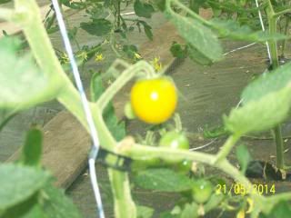  photo firstripe2014_zpsb9be3981.jpg