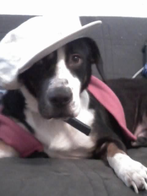 Photobucket