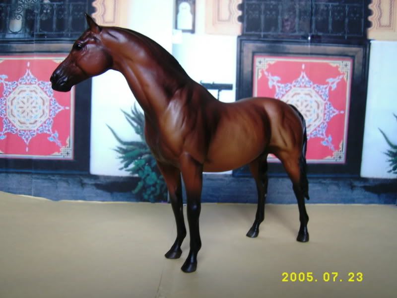 Seabiscuit3.jpg picture by phoenixstablesgermany