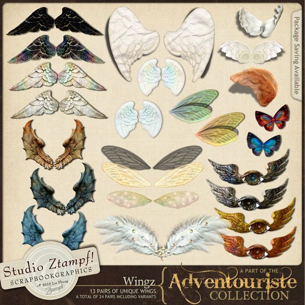 Adventouriste Wingz