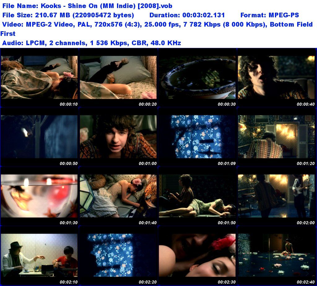 Kooks-ShineOnMMIndie2008vob_tn_zps297c0cc5.jpg