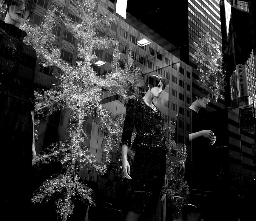 IMAGE: http://i34.photobucket.com/albums/d139/eddiebrownphoto/IMG_8707_1.jpg