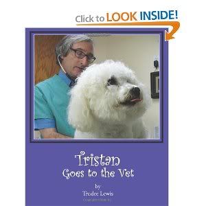Tristan Goes To The Vet