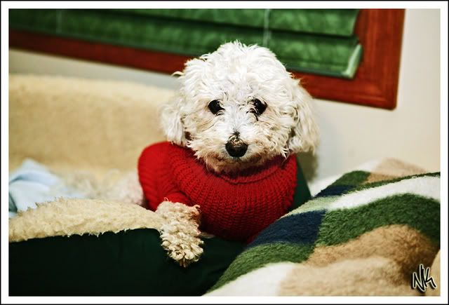 IMAGE: http://i34.photobucket.com/albums/d140/suuupra/IMG_4768zcopyscopy.jpg