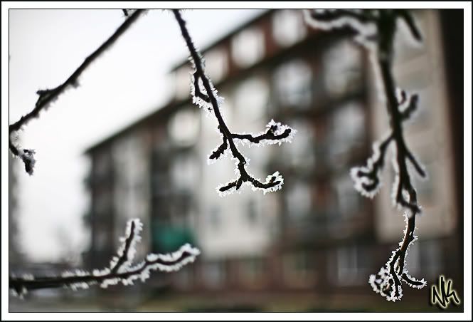 IMAGE: http://i34.photobucket.com/albums/d140/suuupra/IMG_5457sscopy.jpg