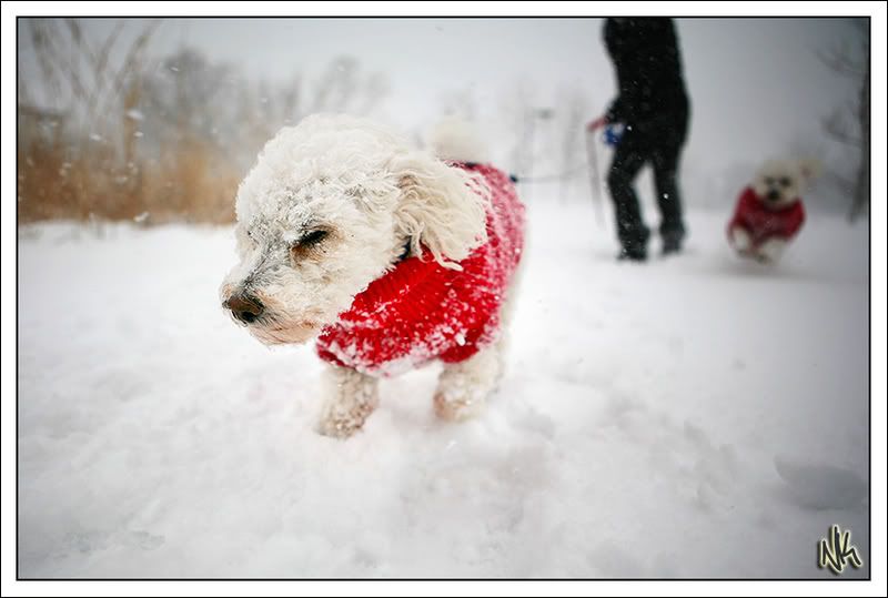 IMAGE: http://i34.photobucket.com/albums/d140/suuupra/IMG_7563copy.jpg