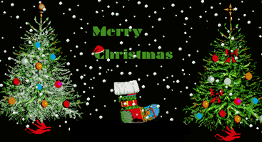 marry christmas Pictures, Images and Photos