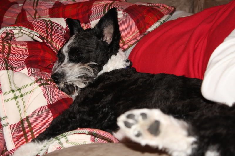 IMAGE: http://i34.photobucket.com/albums/d143/jmadness23/IMG_0898.jpg