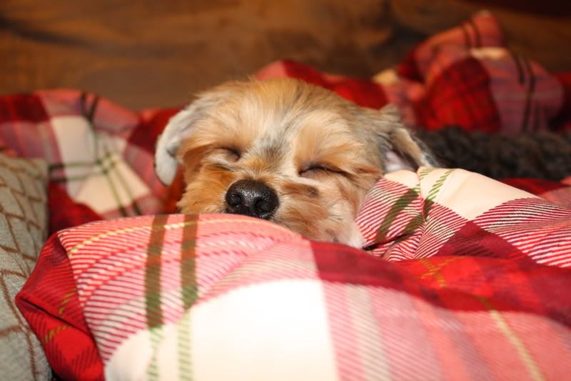 IMAGE: http://i34.photobucket.com/albums/d143/jmadness23/IMG_0910.jpg