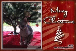 Merry Christmas from Dragonheart