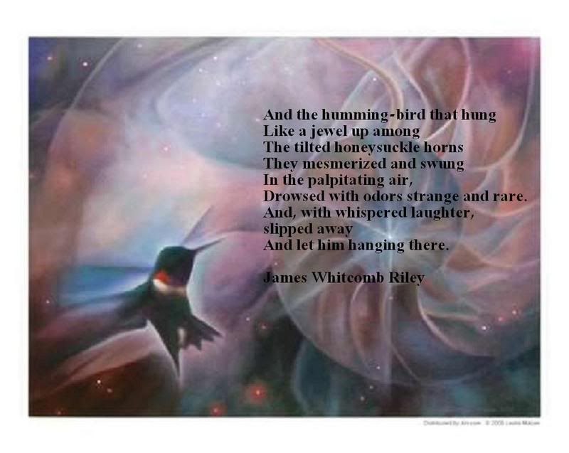 2hummingbird2.jpg