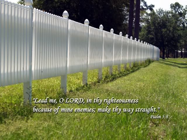 1Psalm_5_8.jpg picture by nan_75