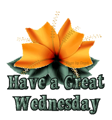 1wednesday1550157kohl2ktuha.gif picture by nan_75