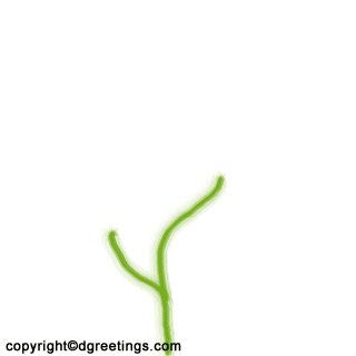 1environmentdayd2.gif
