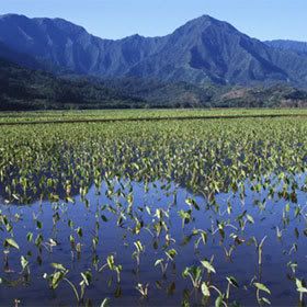 1mountains-with-water.jpg