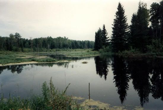 duckmountains.jpg