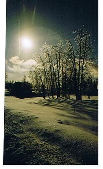 snowylonglac.jpg