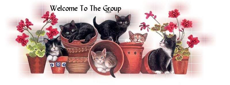 1WELCOME-3.jpg picture by nan_75