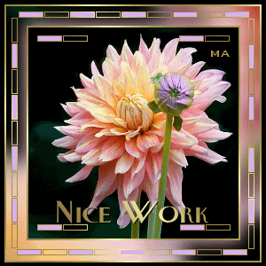 nicework.gif nice work image by mojd80