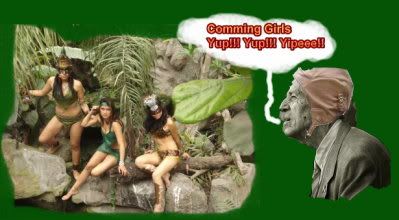 pilotoveo.jpg