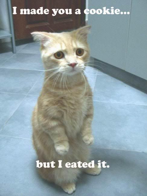 EatedtheCookie.jpg