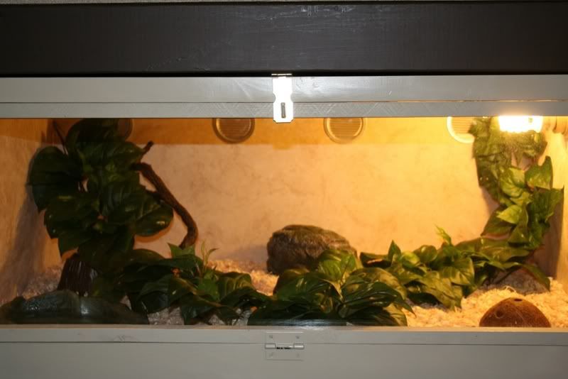 NewEnclosure3.jpg