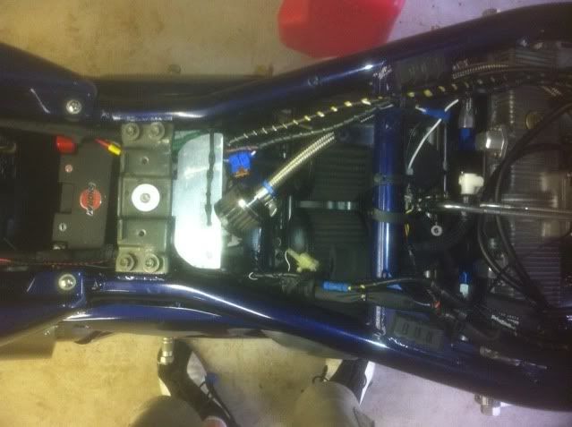 suzuki bandit tail tidy