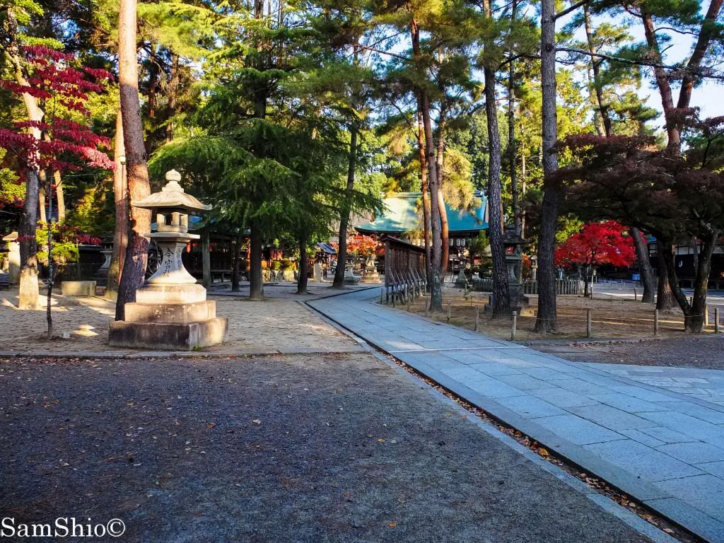 photo DSCF3668_zps3947636d.jpg