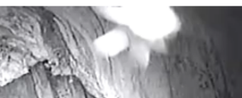 8f17516b-06f4-41c9-b94b-b80a948ac32d_zps3ac55e76.png