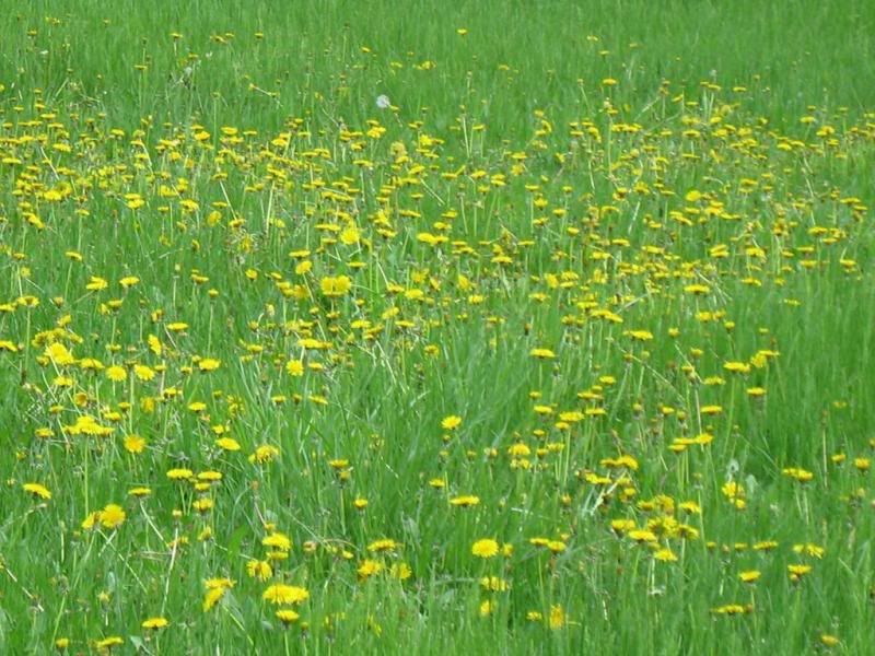 IMG_0487.JPG Pictures, Images and Photos