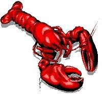 lobster Pictures, Images and Photos