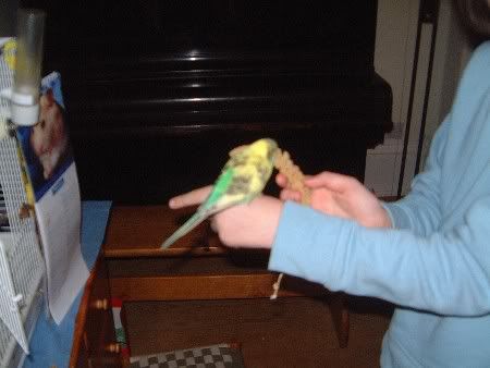 kiwi56005.jpg