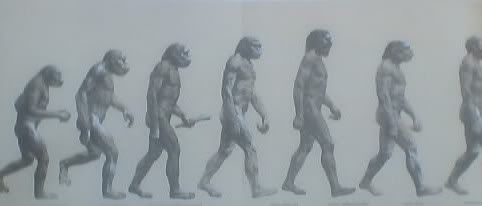 HumanEvolutionSequenceSmall.jpg