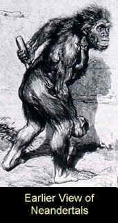Neandertal1.jpg