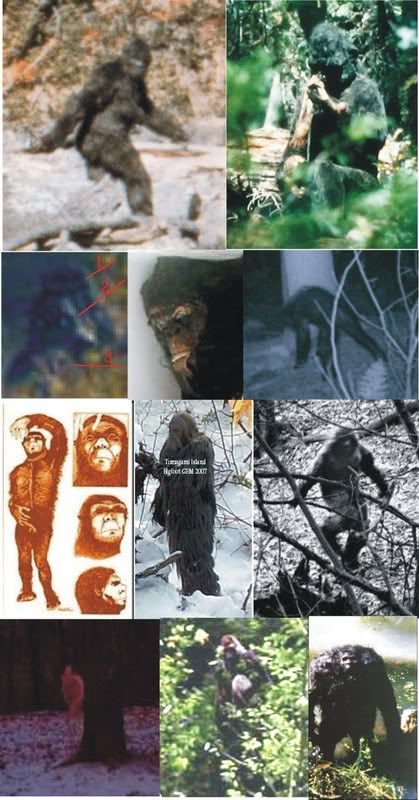 bigfootimages.jpg