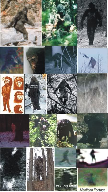 bigfootimagesv3.jpg