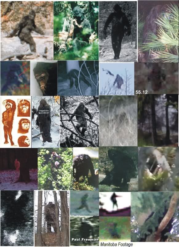 bigfootimagesv4.jpg
