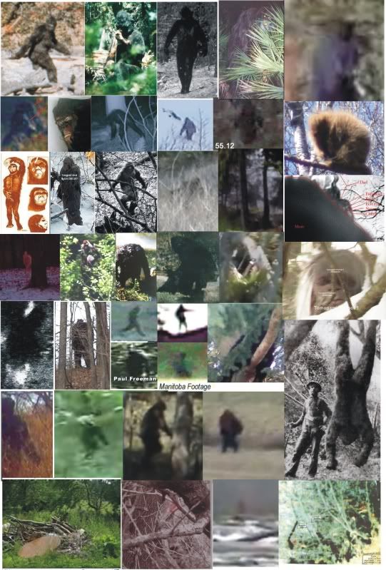 bigfootimagesv5.jpg