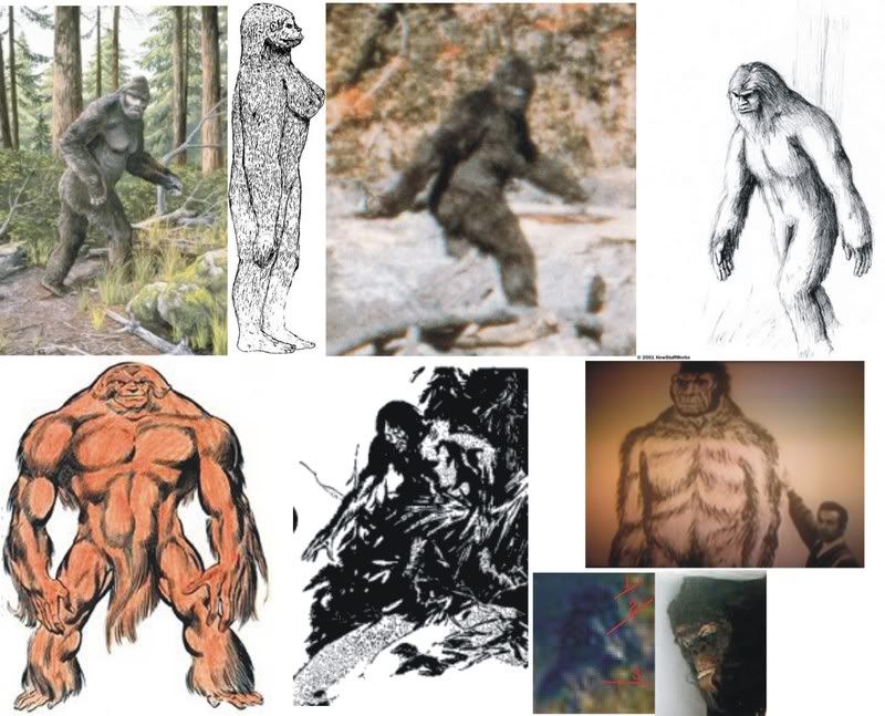 bigfoottypes.jpg
