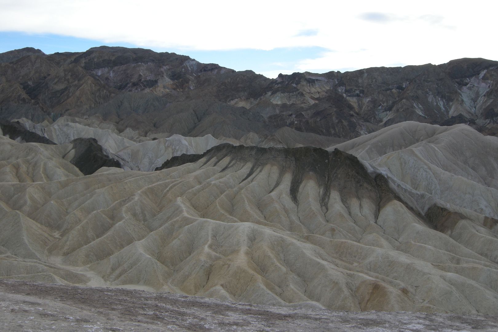 DSCN3484.jpg