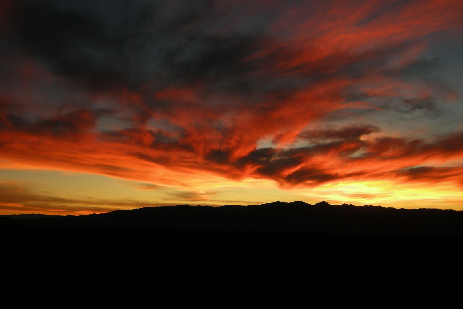 DSCN3496.jpg
